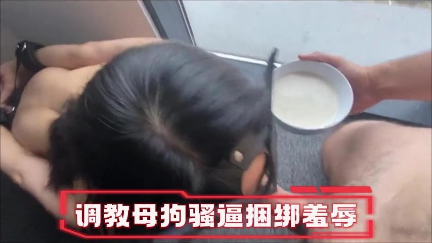 母狗调教:边舔鸡巴边喝豆浆的双重侍奉,高潮迭起!